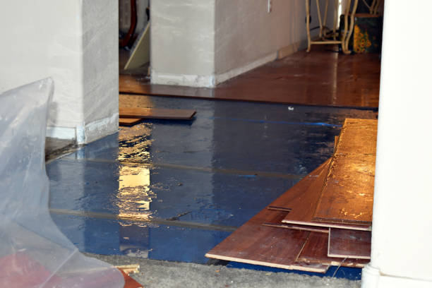 Professional Water Damage Restoration technician working in Arlington, VA